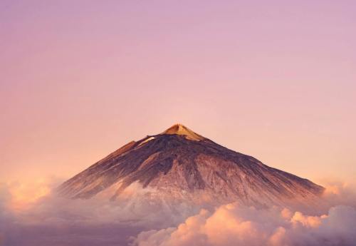 记录下wordpress 主题地址官网和Erphpdown 插件下载地址