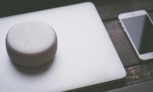 学习《中国共产党纪律处分条例》 个人心得。