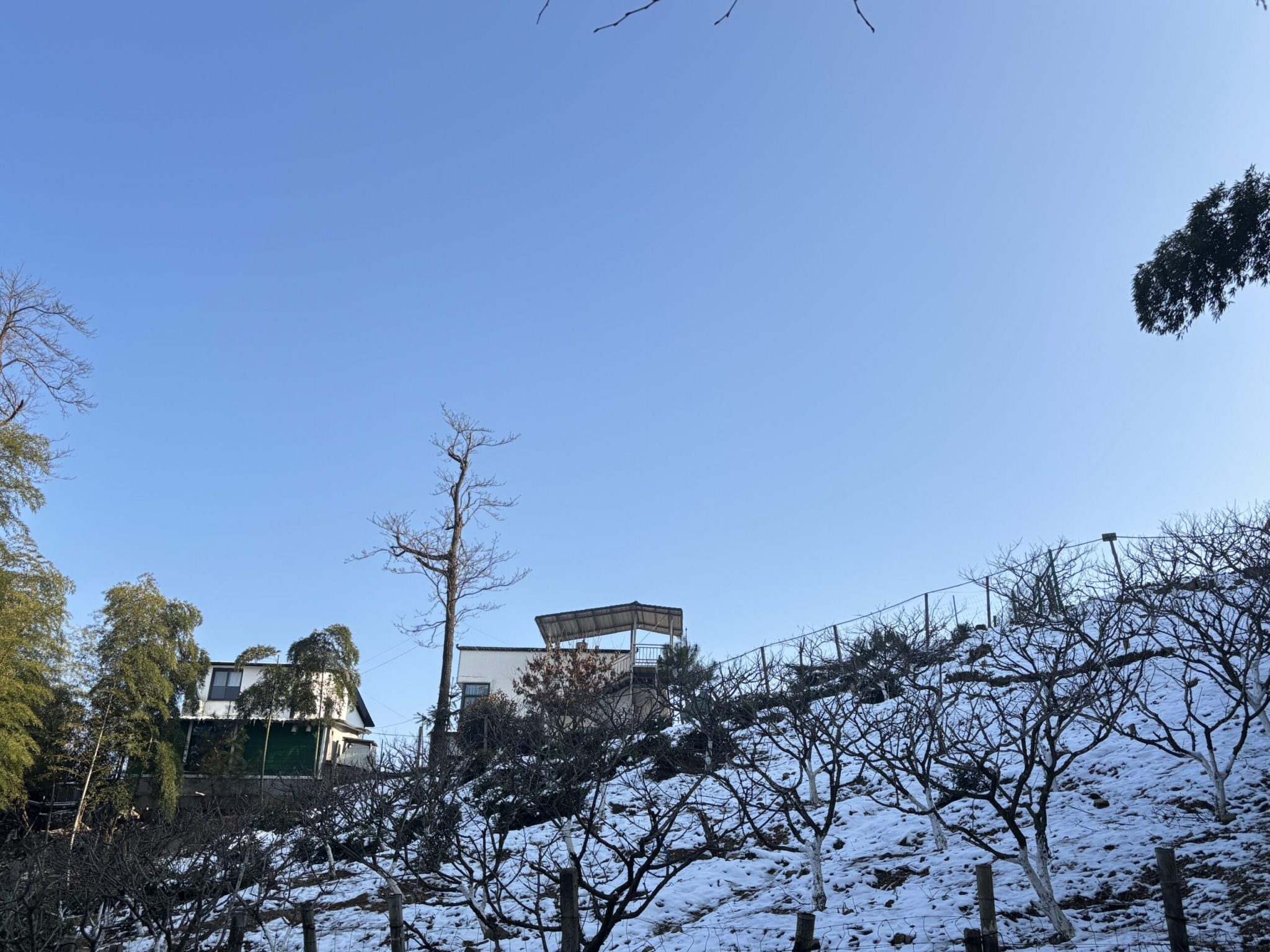 2026-杭州萧山同盘顶第一场雪 