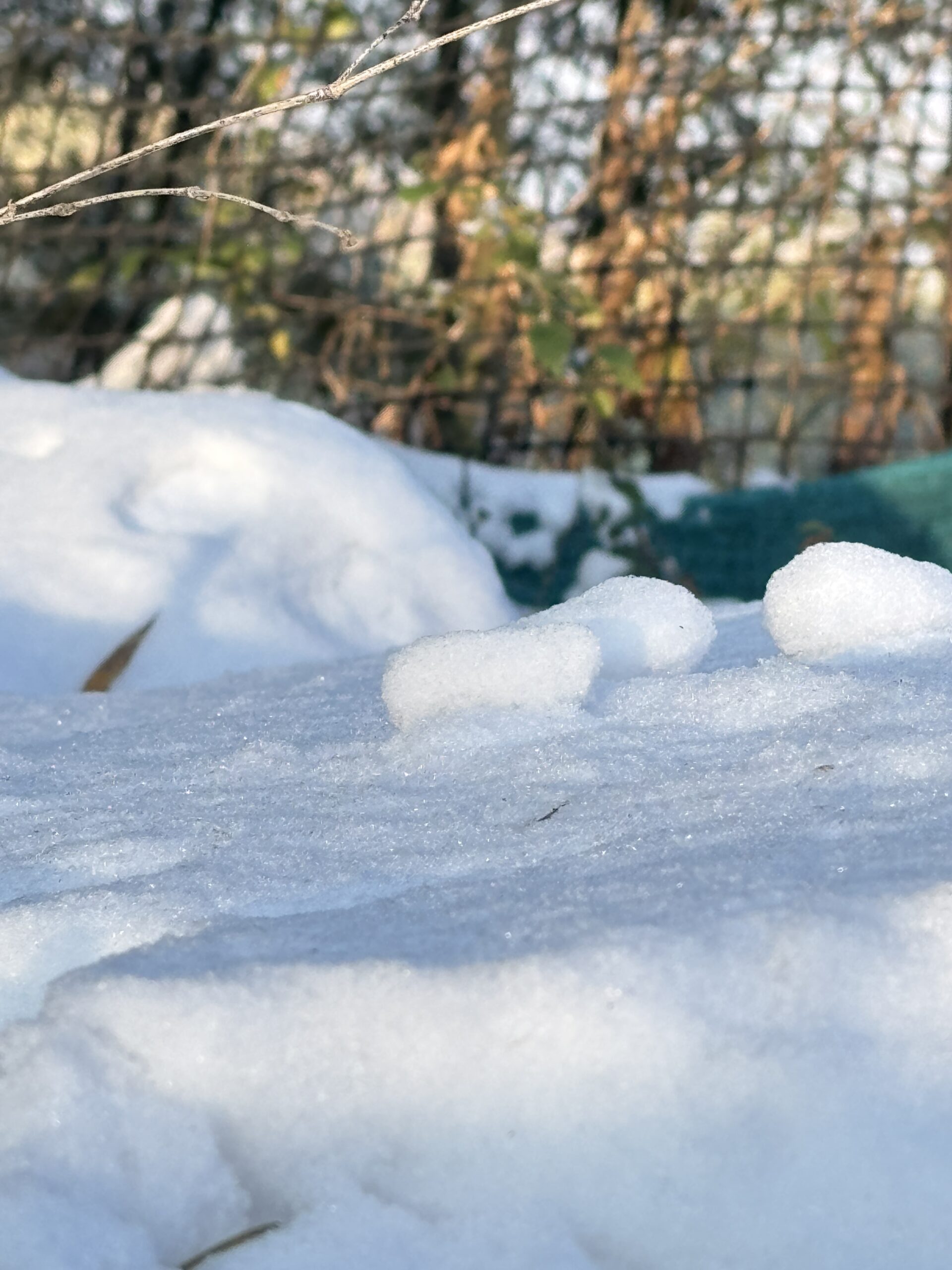 2026-杭州萧山同盘顶第一场雪 
