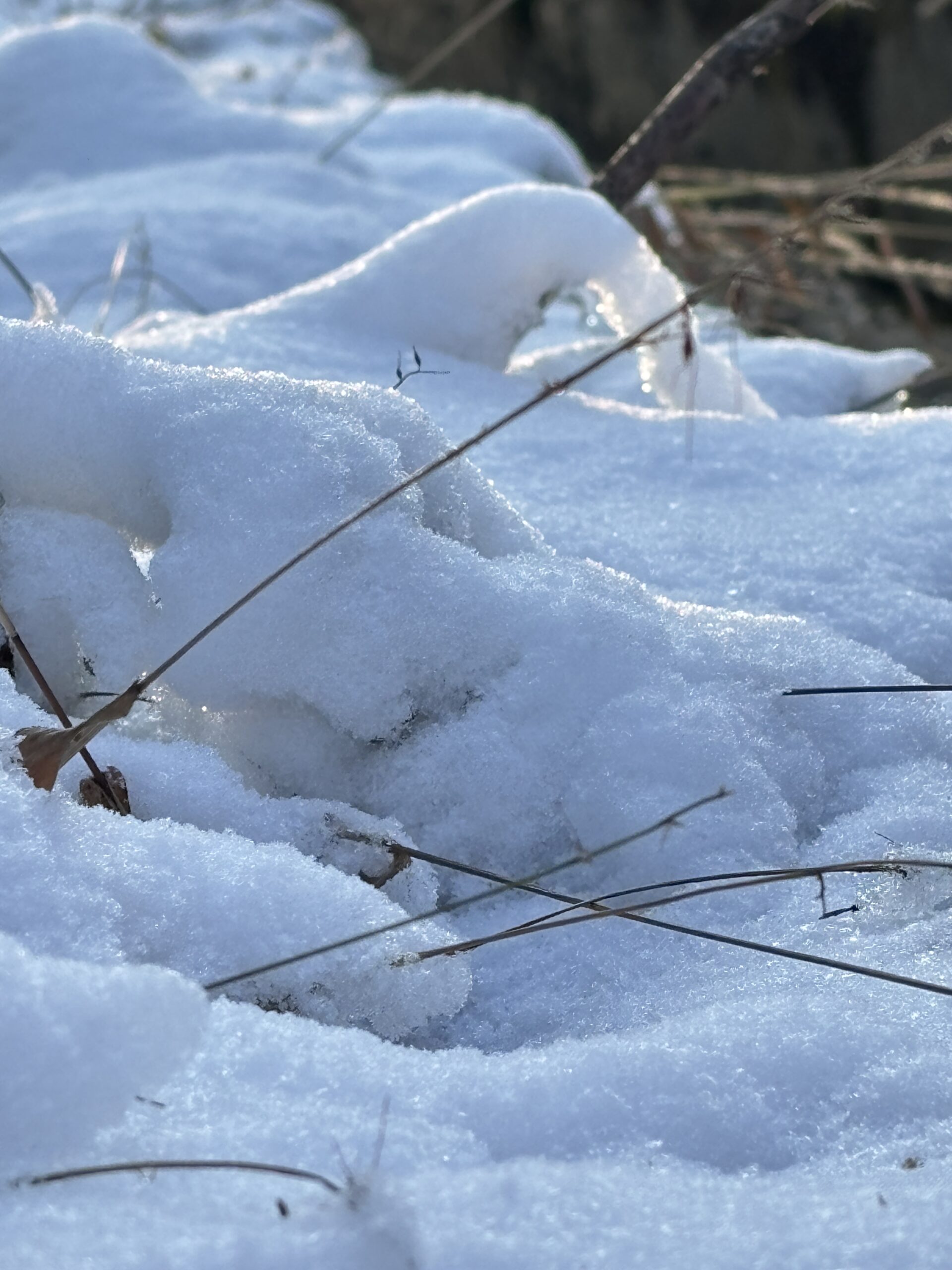 2026-杭州萧山同盘顶第一场雪 