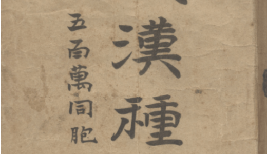 灭汉种策  -（留美学生宗室著）